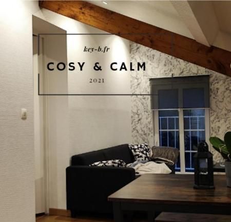 Ferienwohnung Calm & Cosy Freyming-Merlebach Exterior foto